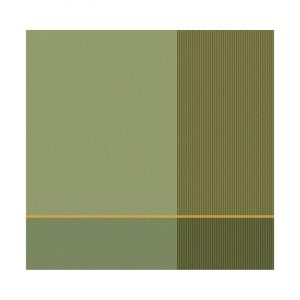 DDDDD Theedoek Blend Olive green